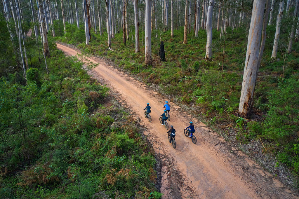 Itinerari in bicicletta: mini guida per la tua prossima avventura su due ruote