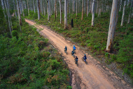 Itinerari in bicicletta: mini guida per la tua prossima avventura su due ruote