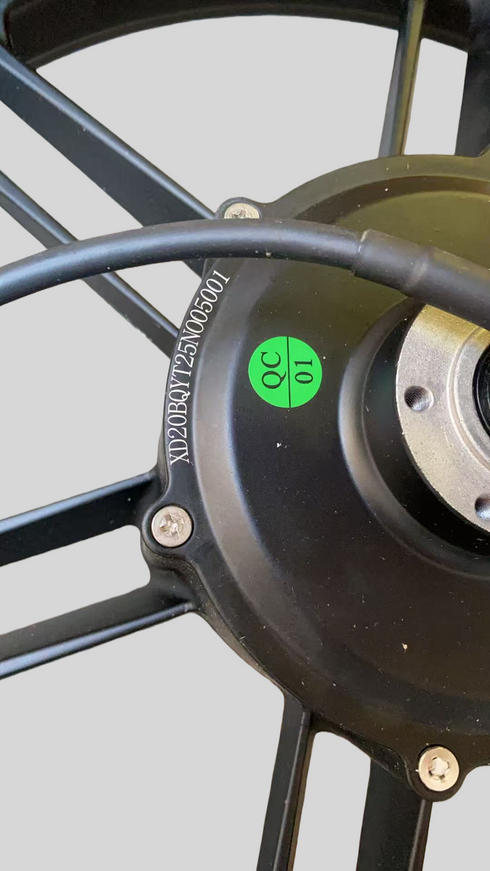 Cerchione Posteriore con Motore ruota Originale per ENGWE X20
