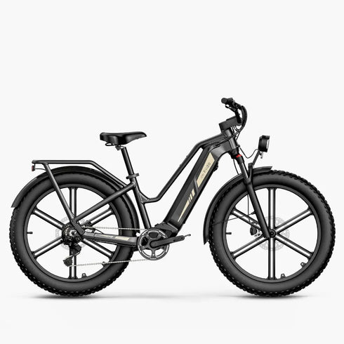 FIIDO Titan | Bicicletta elettrica | Sensore di Coppia | Motore 250W 55Nm | Autonomia 115km | GARANZIA ITALIANA