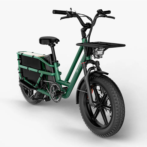 Fiido T2 | Longtail Cargo Bicicletta elettrica | Versatile| Motore 250W 55Nm | DMEGC 998.4Wh | Sensore di coppia | Freni idraulici a 4 pistoni | Autonomia 136,26Km| GARANZIA ITALIANA