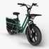 Fiido T2 | Longtail Cargo Bicicletta elettrica | Versatile| Motore 250W 55Nm | DMEGC 998.4Wh | Sensore di coppia | Freni idraulici a 4 pistoni | Autonomia 136,26Km| GARANZIA ITALIANA