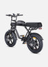 ENGWE M1 | Bicicletta Elettrica per due passeggeri | Versatile | Motore 250W | 48V 15.6Ah/15.6Ah+13Ah | GARANZIA ITALIANA