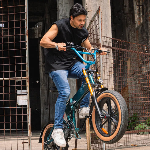 Fiido M1 Pro 2025 | Bicicletta elettrica | Versatile | Motore 250W 50Nm | DMEGC 556.8Wh | Sensore di coppia | Freni idraulici | Autonomia 88,79 Km| GARANZIA ITALIANA