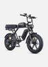 ENGWE M1 | Bicicletta Elettrica per due passeggeri | Versatile | Motore 250W | 48V 15.6Ah/15.6Ah+13Ah | GARANZIA ITALIANA