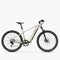 Fiido Nomads | Bicicletta elettrica da turismo | Motore 250W | 417,6 Wh | Sensore di coppia | Freni idraulici | Autonomia 79.36Km| GARANZIA ITALIANA