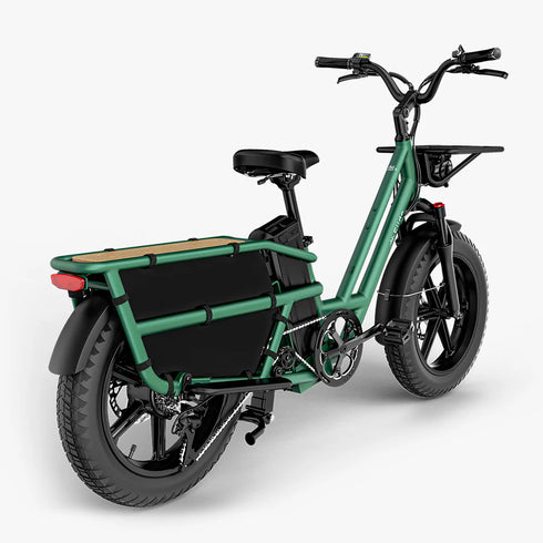 Fiido T2 | Longtail Cargo Bicicletta elettrica | Versatile| Motore 250W 55Nm | DMEGC 998.4Wh | Sensore di coppia | Freni idraulici a 4 pistoni | Autonomia 136,26Km| GARANZIA ITALIANA