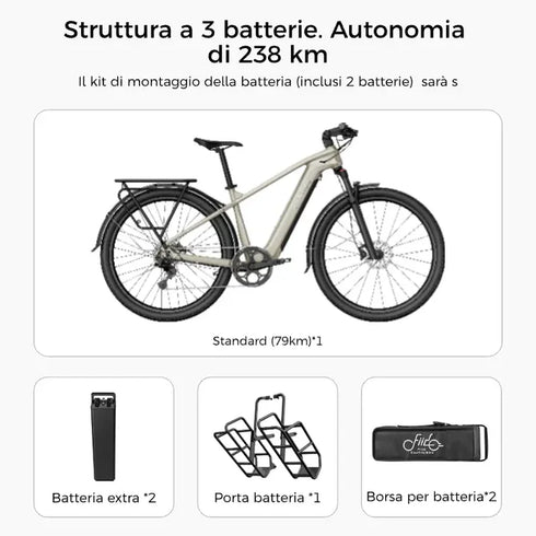 Fiido Nomads | Bicicletta elettrica da turismo | Motore 250W | 417,6 Wh | Sensore di coppia | Freni idraulici | Autonomia 79.36Km| GARANZIA ITALIANA