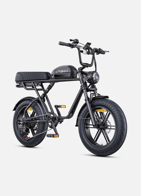 ENGWE M1 | Bicicletta Elettrica per due passeggeri | Versatile | Motore 250W | 48V 15.6Ah/15.6Ah+13Ah | GARANZIA ITALIANA