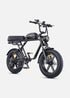 ENGWE M1 | Bicicletta Elettrica per due passeggeri | Versatile | Motore 250W | 48V 15.6Ah/15.6Ah+13Ah | GARANZIA ITALIANA