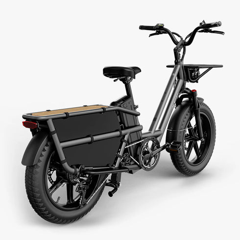 Fiido T2 | Longtail Cargo Bicicletta elettrica | Versatile| Motore 250W 55Nm | DMEGC 998.4Wh | Sensore di coppia | Freni idraulici a 4 pistoni | Autonomia 136,26Km| GARANZIA ITALIANA