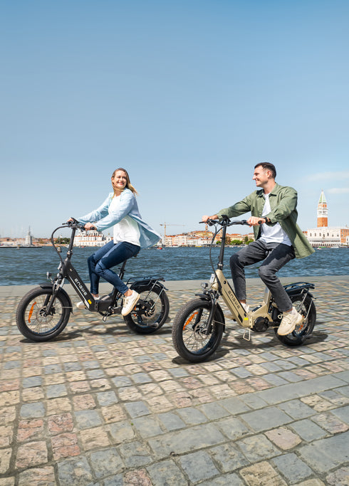 ENGWE L20 3.0 Pro | Bicicletta Elettrica | Motore Centrale 250W | Sensore di coppia | Certificata TÜV | GARANZIA ITALIANA e 100% A NORMA