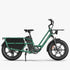 Fiido T2 | Longtail Cargo Bicicletta elettrica | Versatile| Motore 250W 55Nm | DMEGC 998.4Wh | Sensore di coppia | Freni idraulici a 4 pistoni | Autonomia 136,26Km| GARANZIA ITALIANA