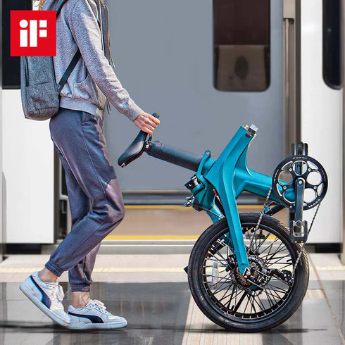 FIIDO X | Bicicletta elettrica | Sensore di coppia Mivice S200 | Motore 250W | Autonomia 130km | GARANZIA ITALIANA