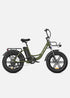 ENGWE L20 | Bicicletta Elettrica | Versatile | Motore 250W | 48V 624wh | 25km/h | Autonomia 140Km| GARANZIA ITALIANA