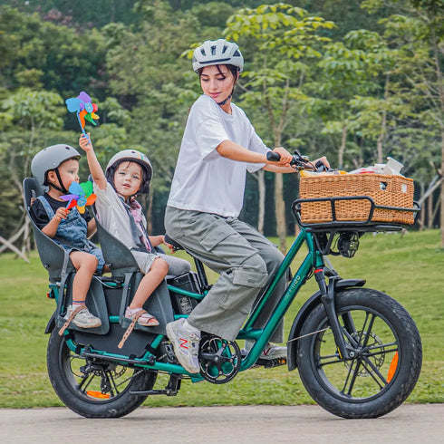 Fiido T2 | Longtail Cargo Bicicletta elettrica | Versatile| Motore 250W 55Nm | DMEGC 998.4Wh | Sensore di coppia | Freni idraulici a 4 pistoni | Autonomia 136,26Km| GARANZIA ITALIANA