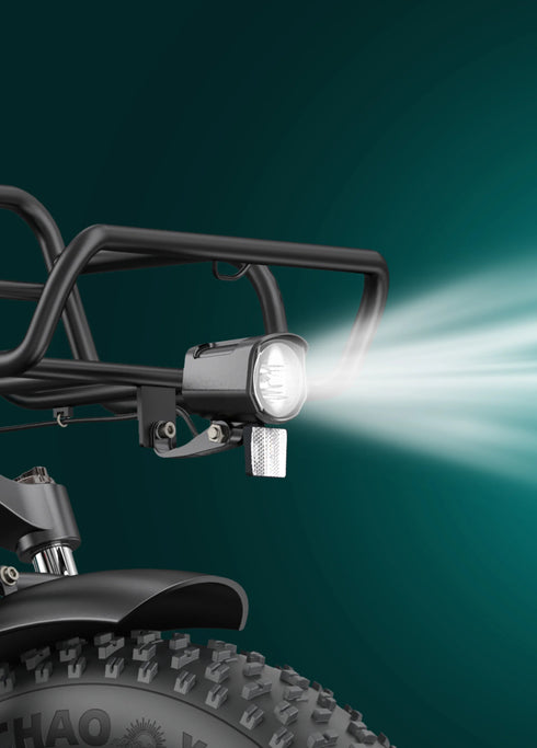 ENGWE L20 Boost | Bicicletta Elettrica | Versatile | Motore 250W | 48V 624wh | Sensore di coppia | 25km/h | Autonomia 126Km| GARANZIA ITALIANA