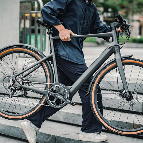 FIIDO E-Gravel C21 | Bicicletta elettrica Urbana | Motore 250W | DMEGC 208,8 Wh | Sensore di coppia | Freni idraulici | Autonomia 100Km| GARANZIA ITALIANA