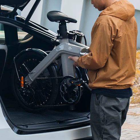 FIIDO D11 2025 | Bicicletta elettrica | Ultra Leggera | DMEGC 417,6 Wh | Sensore di coppia | Freni idraulici | Autonomia 86Km| GARANZIA ITALIANA