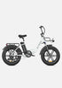 ENGWE L20 | Bicicletta Elettrica | Versatile | Motore 250W | 48V 624wh | 25km/h | Autonomia 140Km| GARANZIA ITALIANA