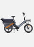 ENGWE LE20 | Bicicletta Elettrica | Step-Thru Cargo | Versatile | Motore centrale 250W | Sensore di coppia | GARANZIA ITALIANA