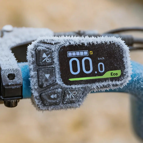 Fiido M1 Pro 2025 | Bicicletta elettrica | Versatile | Motore 250W 50Nm | DMEGC 556.8Wh | Sensore di coppia | Freni idraulici | Autonomia 88,79 Km| GARANZIA ITALIANA