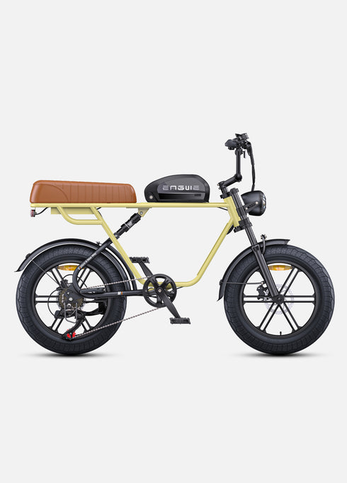 ENGWE M1 | Bicicletta Elettrica per due passeggeri | Versatile | Motore 250W | 48V 15.6Ah/15.6Ah+13Ah | GARANZIA ITALIANA