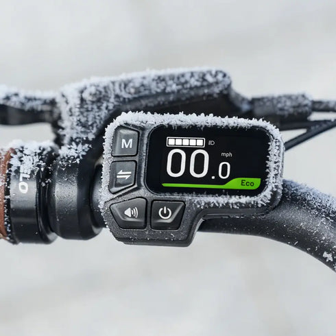 Fiido C11 Pro | Bicicletta elettrica Urbana | Motore 250W 55Nm | DMEGC/EVE 499,2Wh | Sensore di coppia | Freni idraulici | Autonomia 104Km| GARANZIA ITALIANA