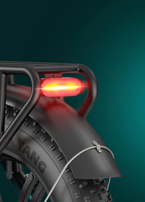 ENGWE L20 Boost | Bicicletta Elettrica | Versatile | Motore 250W | 48V 624wh | Sensore di coppia | 25km/h | Autonomia 126Km| GARANZIA ITALIANA