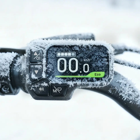 FIIDO D11 2025 | Bicicletta elettrica | Ultra Leggera | DMEGC 417,6 Wh | Sensore di coppia | Freni idraulici | Autonomia 86Km| GARANZIA ITALIANA