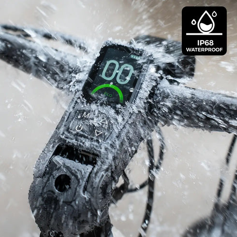 Fiido Nomads | Bicicletta elettrica da turismo | Motore 250W | 417,6 Wh | Sensore di coppia | Freni idraulici | Autonomia 79.36Km| GARANZIA ITALIANA