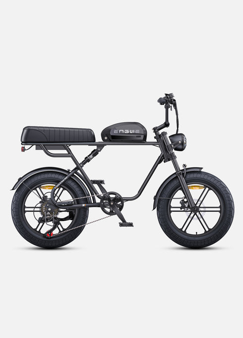 ENGWE M1 | Bicicletta Elettrica per due passeggeri | Versatile | Motore 250W | 48V 15.6Ah/15.6Ah+13Ah | GARANZIA ITALIANA