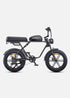 ENGWE M1 | Bicicletta Elettrica per due passeggeri | Versatile | Motore 250W | 48V 15.6Ah/15.6Ah+13Ah | GARANZIA ITALIANA