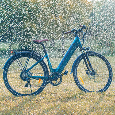 Fiido C11 Pro | Bicicletta elettrica Urbana | Motore 250W 55Nm | DMEGC/EVE 499,2Wh | Sensore di coppia | Freni idraulici | Autonomia 104Km| GARANZIA ITALIANA