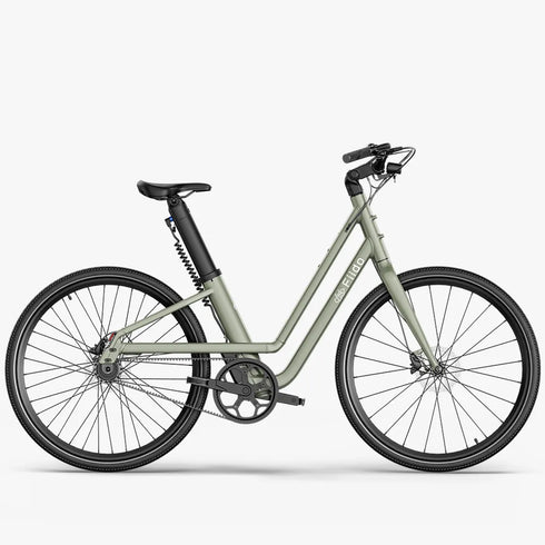 Fiido C700 | Bicicletta elettrica Urbana | Motore 250W | DMEGC 313,2 Wh | Sensore di coppia | Freni idraulici | Autonomia 83,14Km| GARANZIA ITALIANA