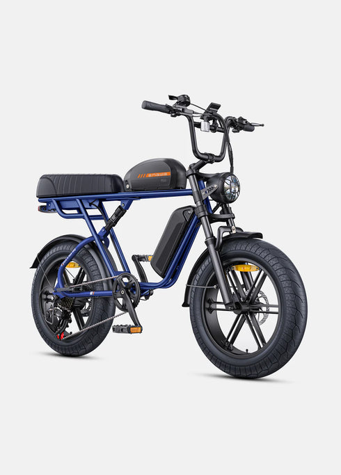 ENGWE M1 | Bicicletta Elettrica per due passeggeri | Versatile | Motore 250W | 48V 15.6Ah/15.6Ah+13Ah | GARANZIA ITALIANA