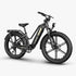 FIIDO Titan | Bicicletta elettrica | Sensore di Coppia | Motore 250W 55Nm | Autonomia 115km | GARANZIA ITALIANA