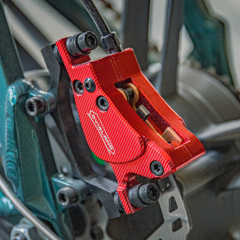 Fiido M1 Pro 2025 | Bicicletta elettrica | Versatile | Motore 250W 50Nm | DMEGC 556.8Wh | Sensore di coppia | Freni idraulici | Autonomia 88,79 Km| GARANZIA ITALIANA