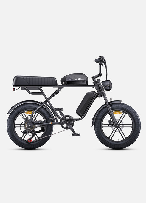 ENGWE M1 | Bicicletta Elettrica per due passeggeri | Versatile | Motore 250W | 48V 15.6Ah/15.6Ah+13Ah | GARANZIA ITALIANA