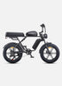 ENGWE M1 | Bicicletta Elettrica per due passeggeri | Versatile | Motore 250W | 48V 15.6Ah/15.6Ah+13Ah | GARANZIA ITALIANA