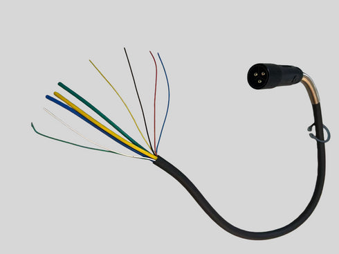 Cavo cablaggio motore (9 PIN Maschio) per bicicletta elettrica ENGWE M20