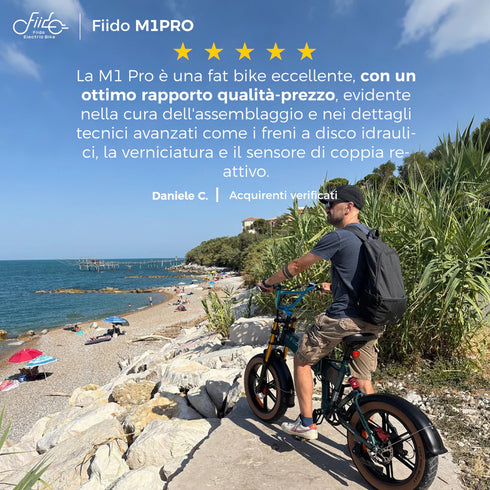 Fiido M1 Pro 2025 | Bicicletta elettrica | Versatile | Motore 250W 50Nm | DMEGC 556.8Wh | Sensore di coppia | Freni idraulici | Autonomia 88,79 Km| GARANZIA ITALIANA