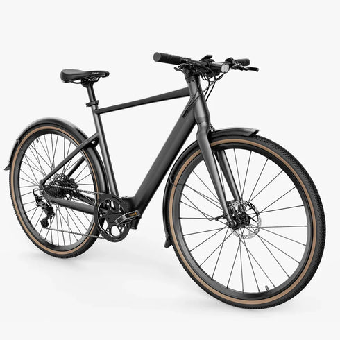 FIIDO E-Gravel C21 | Bicicletta elettrica Urbana | Motore 250W | DMEGC 208,8 Wh | Sensore di coppia | Freni idraulici | Autonomia 100Km| GARANZIA ITALIANA