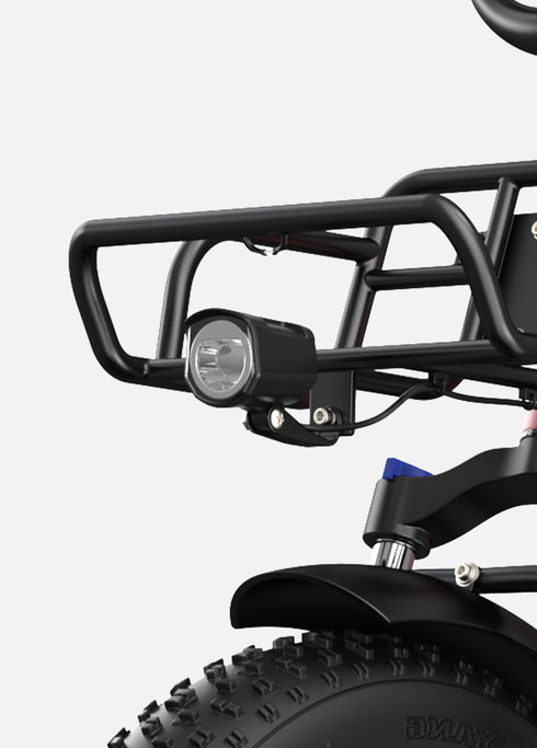 ENGWE L20 | Bicicletta Elettrica | Versatile | Motore 250W | 48V 624wh | 25km/h | Autonomia 140Km| GARANZIA ITALIANA