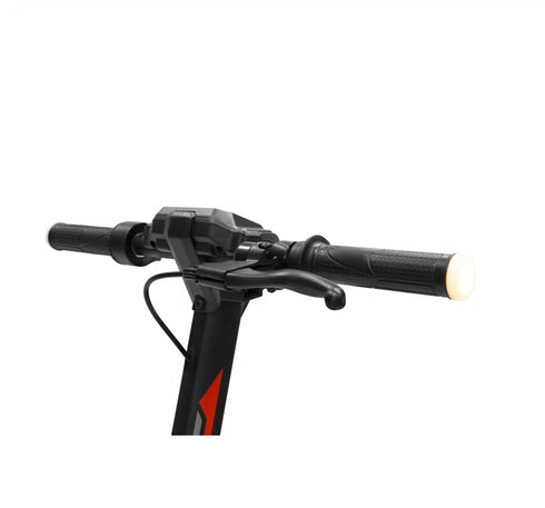 DUCATI PRO-II EVO (WITH TURN SIGNALS) con le Frecce | 350W | fino a 40 km di autonomia | 36V 10.4Ah | super leggero 16.7 kg