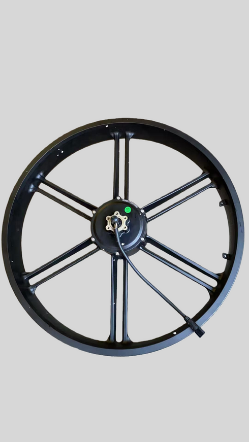 Cerchione Posteriore con Motore ruota Originale per ENGWE X26