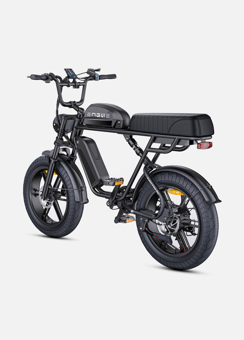 ENGWE M1 | Bicicletta Elettrica per due passeggeri | Versatile | Motore 250W | 48V 15.6Ah/15.6Ah+13Ah | GARANZIA ITALIANA