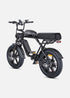 ENGWE M1 | Bicicletta Elettrica per due passeggeri | Versatile | Motore 250W | 48V 15.6Ah/15.6Ah+13Ah | GARANZIA ITALIANA