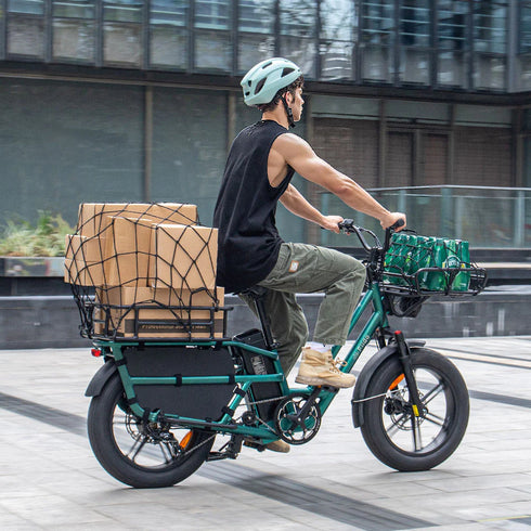 Fiido T2 | Longtail Cargo Bicicletta elettrica | Versatile| Motore 250W 55Nm | DMEGC 998.4Wh | Sensore di coppia | Freni idraulici a 4 pistoni | Autonomia 136,26Km| GARANZIA ITALIANA