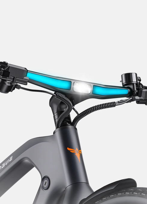 ENGWE MAPFOUR N1  PRO | Bicicletta Elettrica in Fibra di Carbonio | Mid-drive Motore  250W | Cintura carbonio | Sensore di coppia | Samsung batteria 100Km | GARANZIA ITALIANA